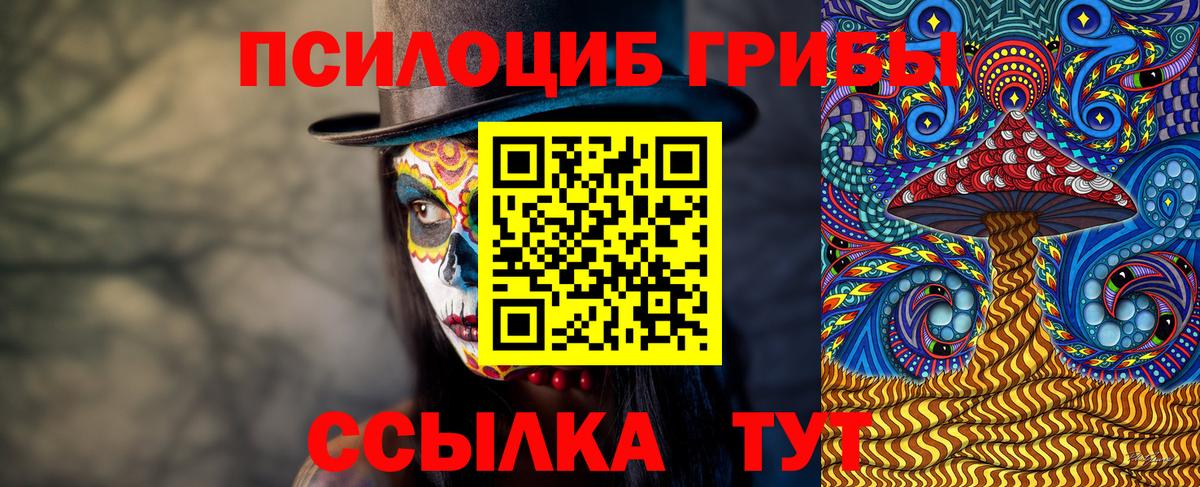 Меф МЯУ МЯУ   Камышлов  Cocaine  Лсд 25  Экстази  Конопля  Купить наркотик  Вход с VPN 